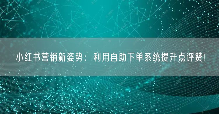 小红书营销新姿势:利用自助下单系统提升点评赞!