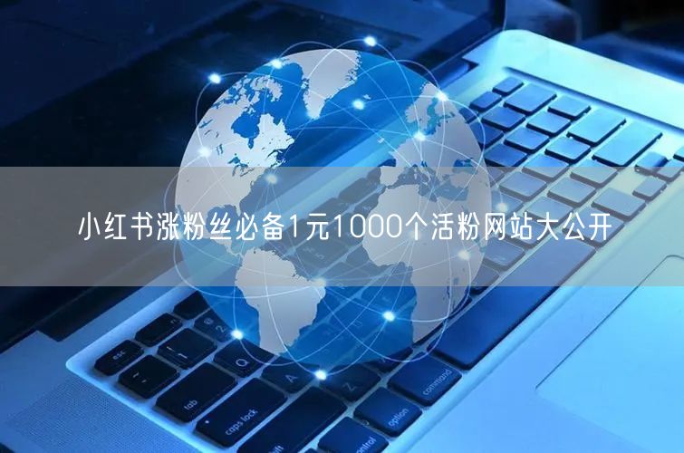 小红书涨粉丝必备1元1000个活粉网站大公开