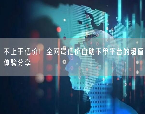 不止于低价!全网最低价自助下单平台的超值体验分享