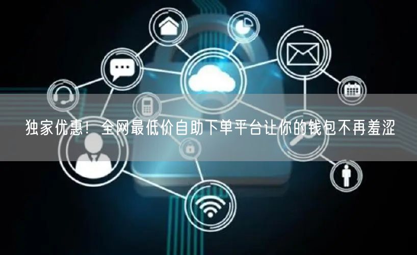 独家优惠!全网最低价自助下单平台让你的钱包不再羞涩