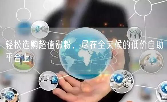 轻松选购超值涨粉,尽在全天候的低价自助平台上