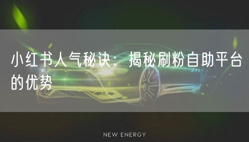 小红书人气秘诀：揭秘刷粉自助平台的优势