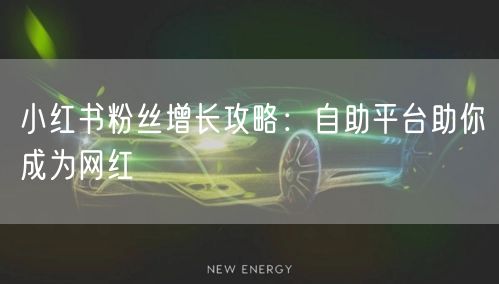 小红书粉丝增长攻略：自助平台助你成为网红