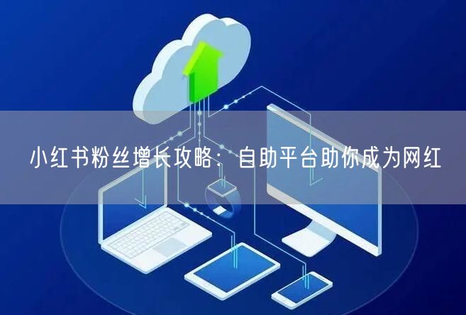 小红书粉丝增长攻略：自助平台助你成为网红