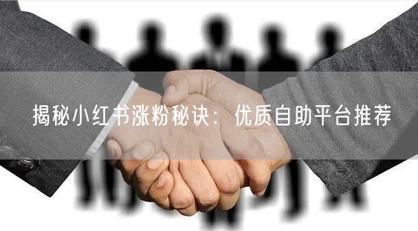 揭秘小红书涨粉秘诀：优质自助平台推荐