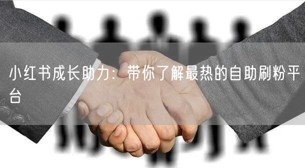 小红书成长助力：带你了解最热的自助刷粉平台