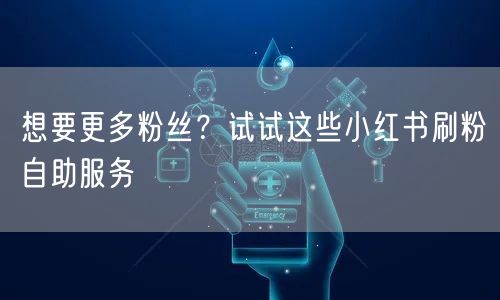 想要更多粉丝?试试这些小红书刷粉自助服务