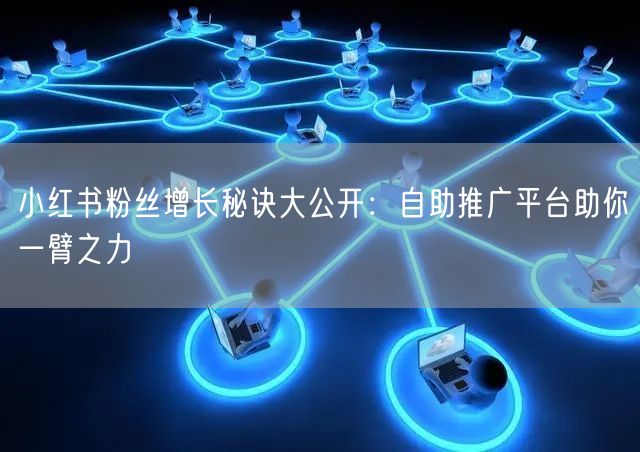 小红书粉丝增长秘诀大公开:自助推广平台助你一臂之力