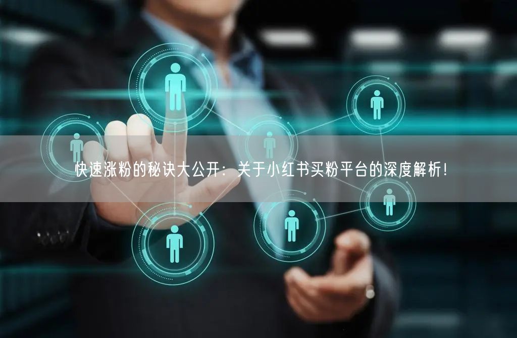 快速涨粉的秘诀大公开:关于小红书买粉平台的深度解析!