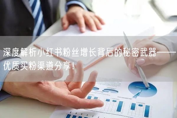 深度解析小红书粉丝增长背后的秘密武器——优质买粉渠道分享!