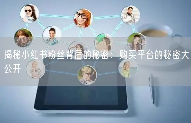 揭秘小红书粉丝背后的秘密:购买平台的秘密大公开