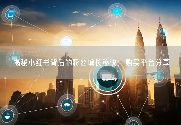 揭秘小红书背后的粉丝增长秘诀:购买平台分享