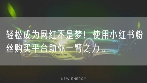 轻松成为网红不是梦！使用小红书粉丝购买平台助你一臂之力。