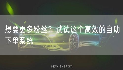 想要更多粉丝？试试这个高效的自助下单系统！